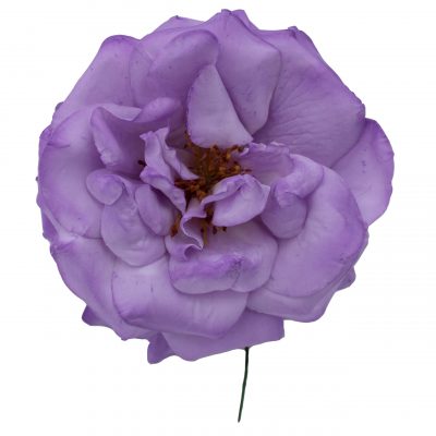 Rosa de flamenca color Malva