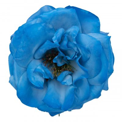Rosa de flamenca color Azul Azafata