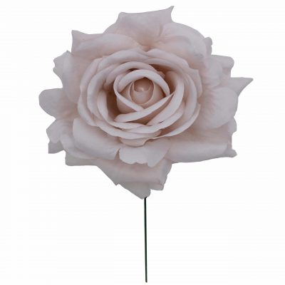 Rosa de flamenca color Marfil