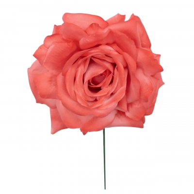 Rosa de flamenca color Coral