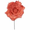 Rosa de flamenca color Coral