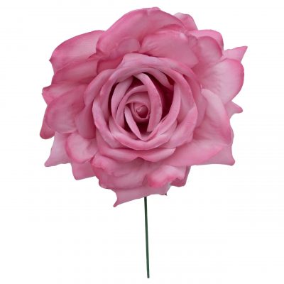 Rosa de flamenca color Maquillaje