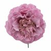 Flor de flamenca mediana color Rosa Lila