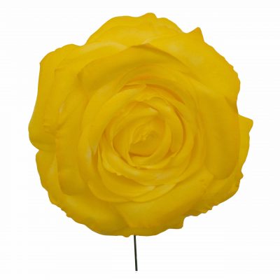 Rosa de flamenca color Amarillo