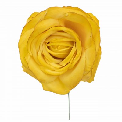 Rosa de flamenca color Albero