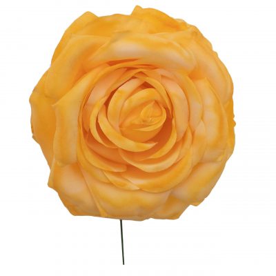 Rosa de flamenca color Mandarina