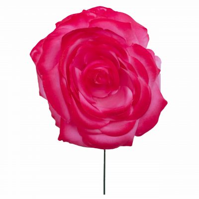 Rosa de flamenca color Fucsia