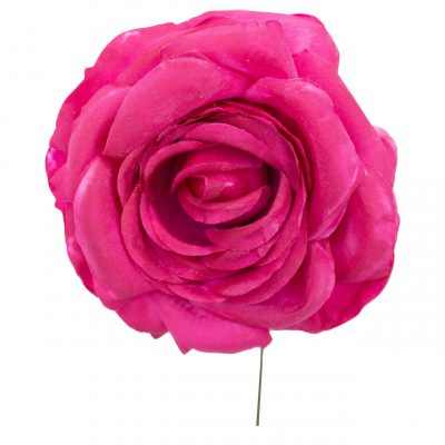 Rosa de flamenca de Frambuesa