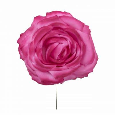 Rosa de flamenca color Fresa