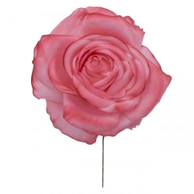 Rosa de flamenca color Maquillaje