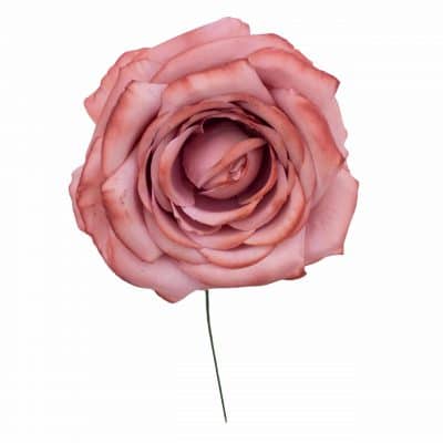 Rosa de flamenca color Caldera Pastel