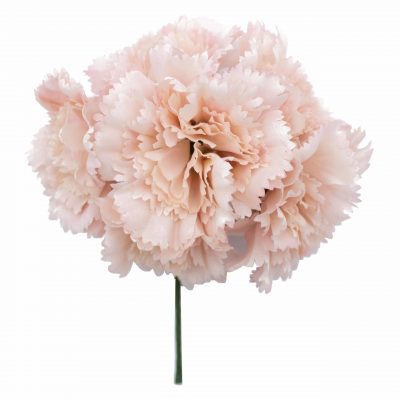 Ramillete de claveles de color Rosa Nude