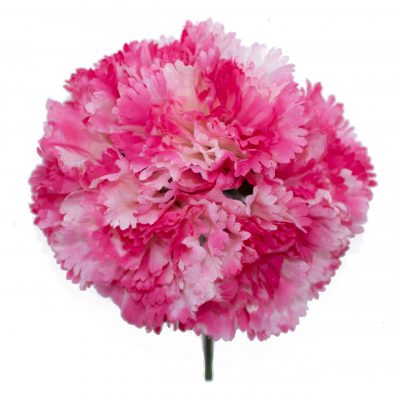 Ramillete de claveles de color Fucsia Degradado