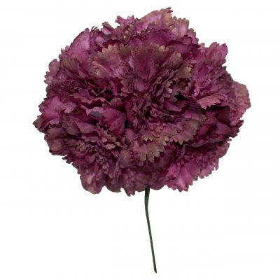 Ramillete de claveles de color Buganvilla Oro