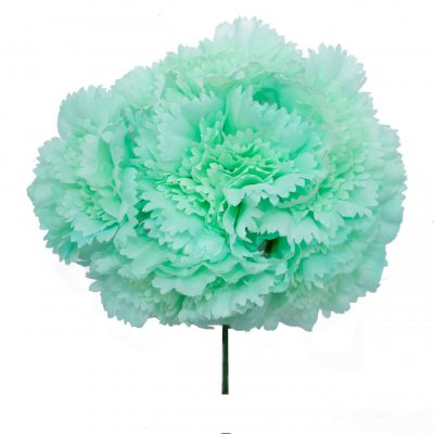 Ramillete de claveles de color Verde Agua Pastel