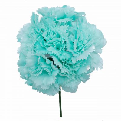 Ramillete de claveles de color Aguamarina Pastel