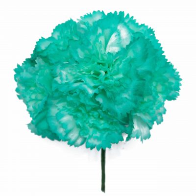 Ramillete de claveles de color Verde Agua