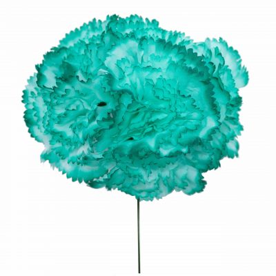 Ramillete de claveles de color Verde Agua