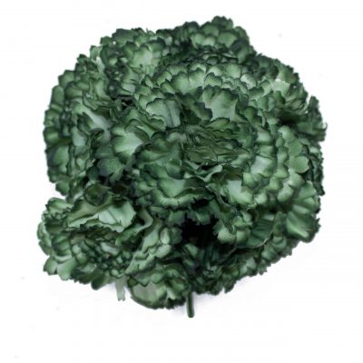 Ramillete de claveles de color Verde Caki Oscuro