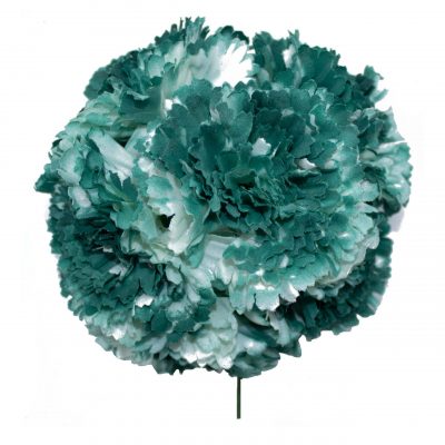 Ramillete de claveles de color Verde Botella Degradado