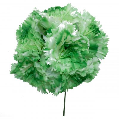 Ramillete de claveles de color Verde Manzana Degradado