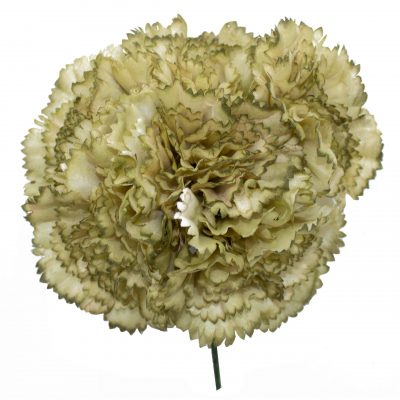 Ramillete de claveles de color Verde Caki Envejecido