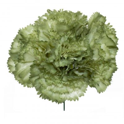 Ramillete de claveles de color Verde Caki