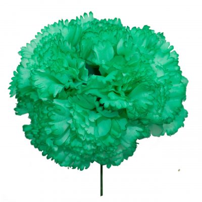 Ramillete de claveles de color Verde Andalucía