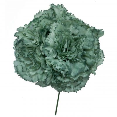 Ramillete de claveles de color Verde Botella Pastel