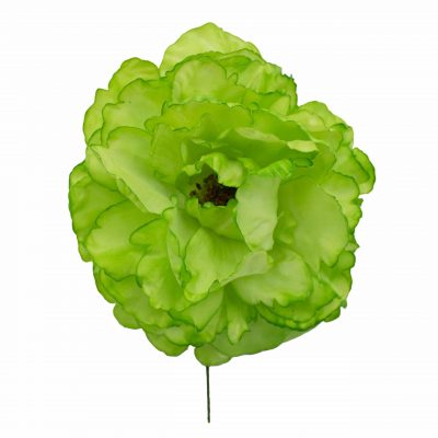 Flor de flamenca estilo peonia color Verde Césped