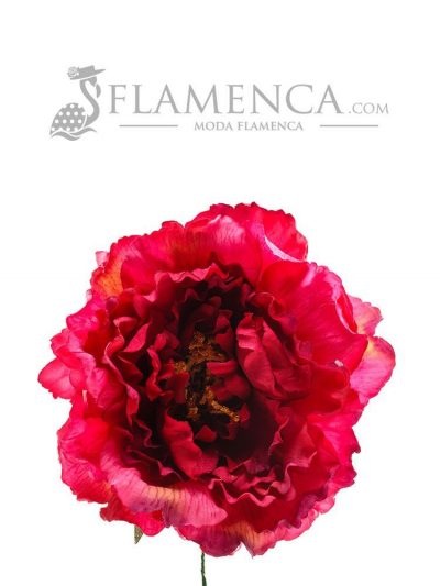 FLOR DE FLAMENCA BUGANVILLA