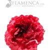 Flamenco flower peony style in carmine color