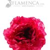 FLOR DE FLAMENCA FRAMBUESA
