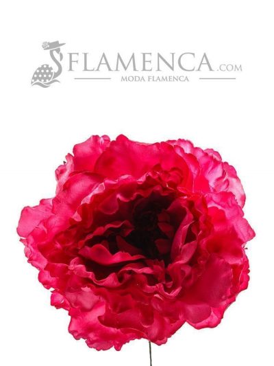 FLOR DE FLAMENCA FRAMBUESA