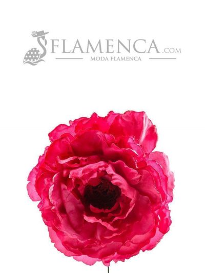 Flamenco raspberry flower