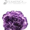 FLOR DE FLAMENCA MORADO