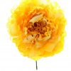 Flor peonia amarillo