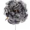Peonia de flamenca colo gris con reflejos plata