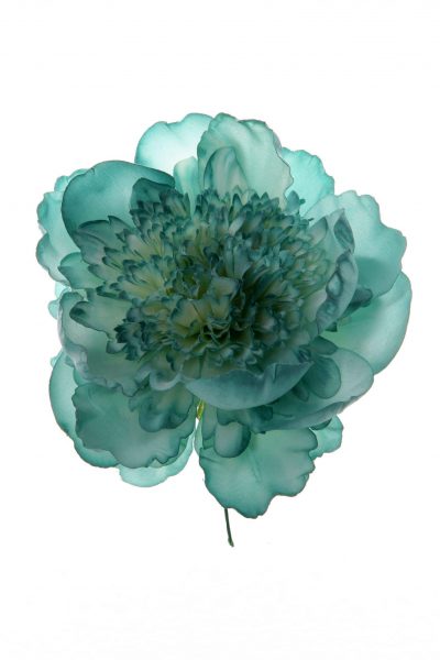 Peonia rizada aguamarina oscuro