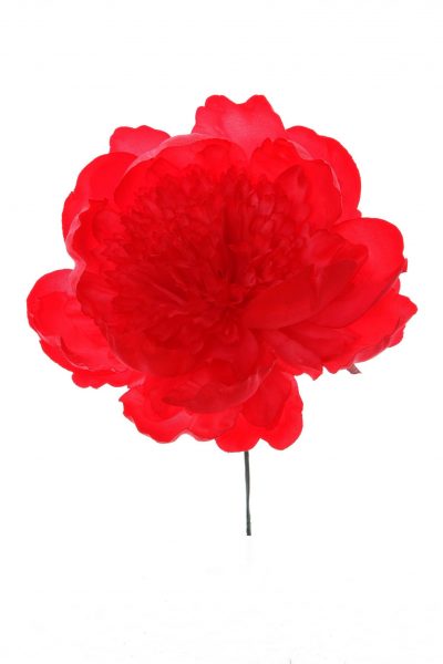 Peonia rizada color coralina