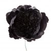 Peonia rizada color negro