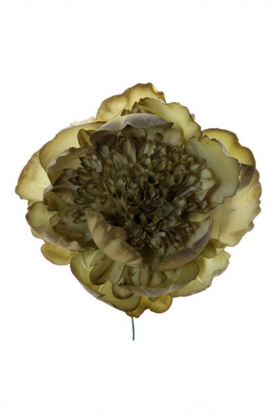 Peonia rizada oro antiguo