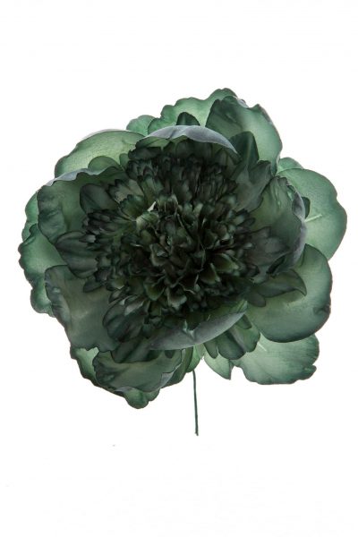 Peonia rizada verde antiguo