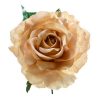 Rose flamenco flower in beige