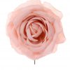 Rosa de flamenca color rosa claro