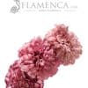 Tiara de flamenca en tonos malva antiguos degradados
